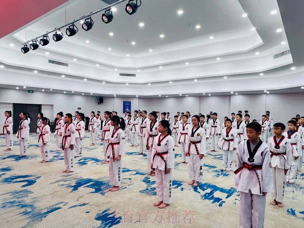 中国跆拳道协会推动“警体融合” 中国跆拳道协会推动“警体融合”